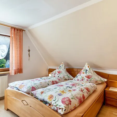 Brujosenhof Apartman Oppenau